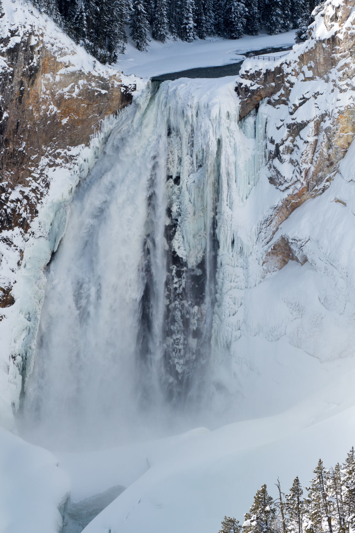 Lower Falls of the Yellowstone River